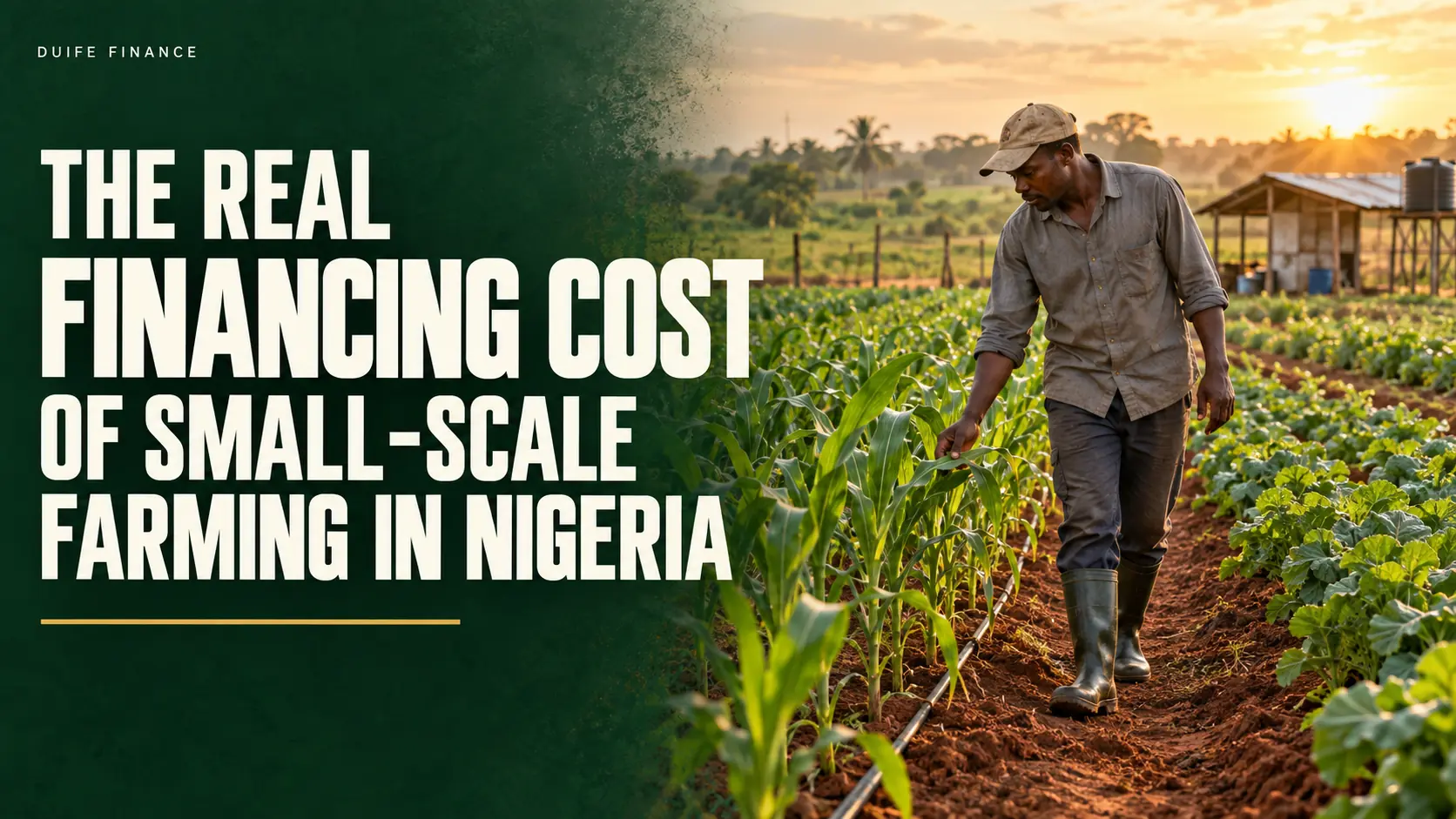 The Real Financing Cost of Small-Scale Farming in Nigeria